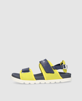 Unique 239 - Multicolor