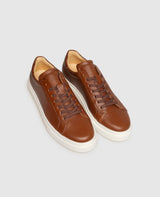 Travis LTS - Medium Brown