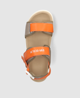 Unique 299 - Multicolor