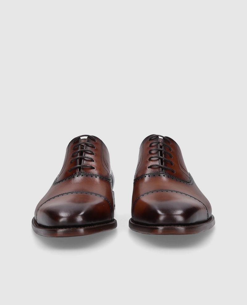 Liam CO - Brown