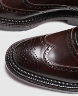 No. 5562 - Brown